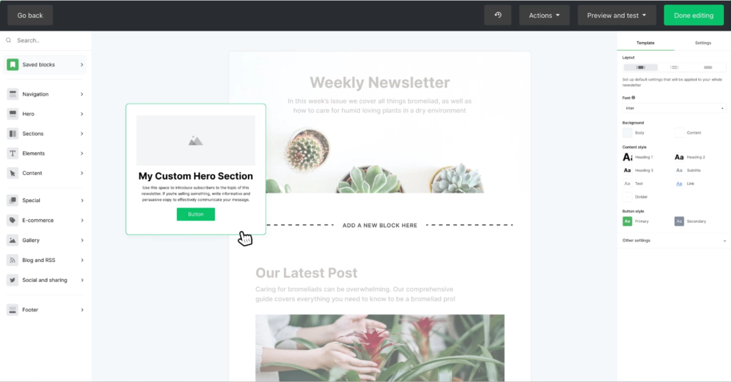 mailerlite review: landing page